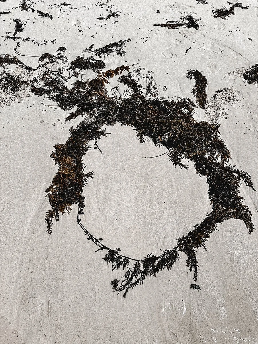 Ornamental 9. Caroline Christie-Coxon 12.2023 - websize.jpg