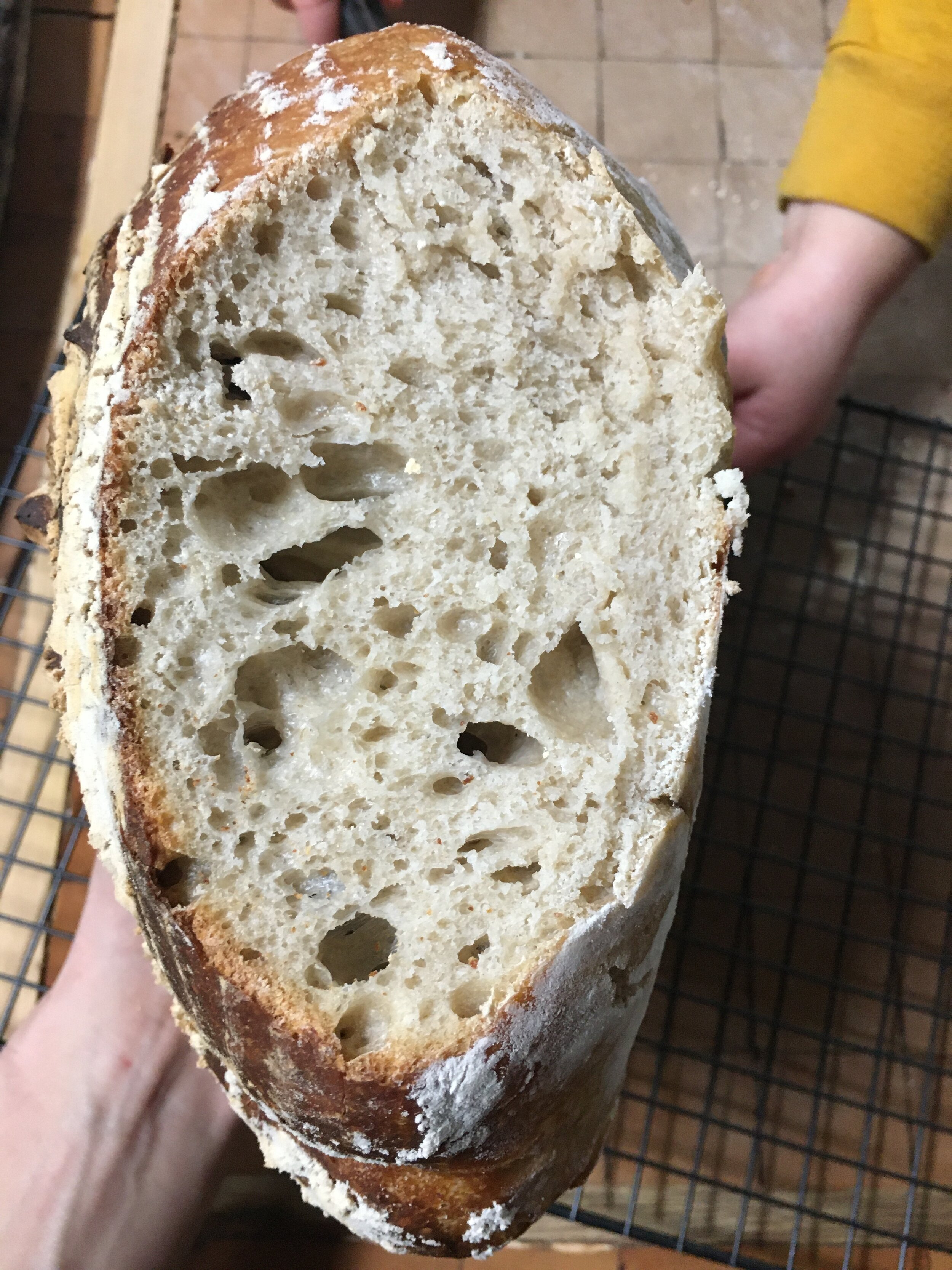 holey sourdough bread