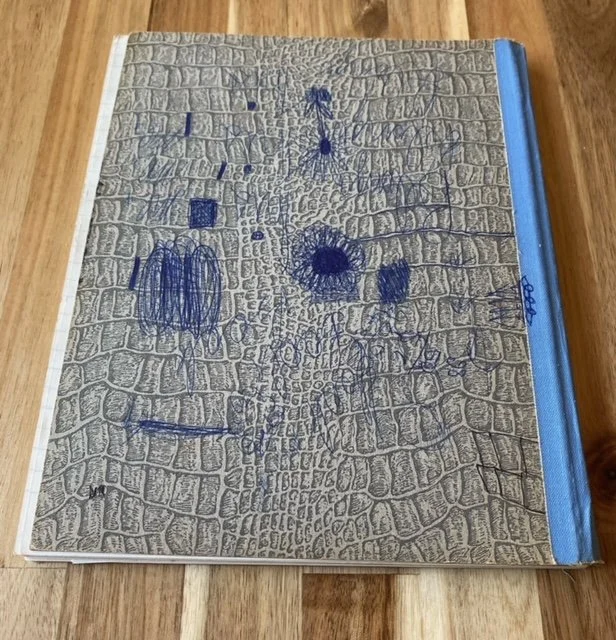 Duran Duran diary – back cover