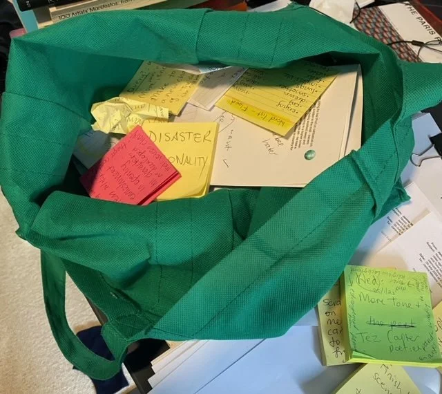 Janine's post-its in green bag
