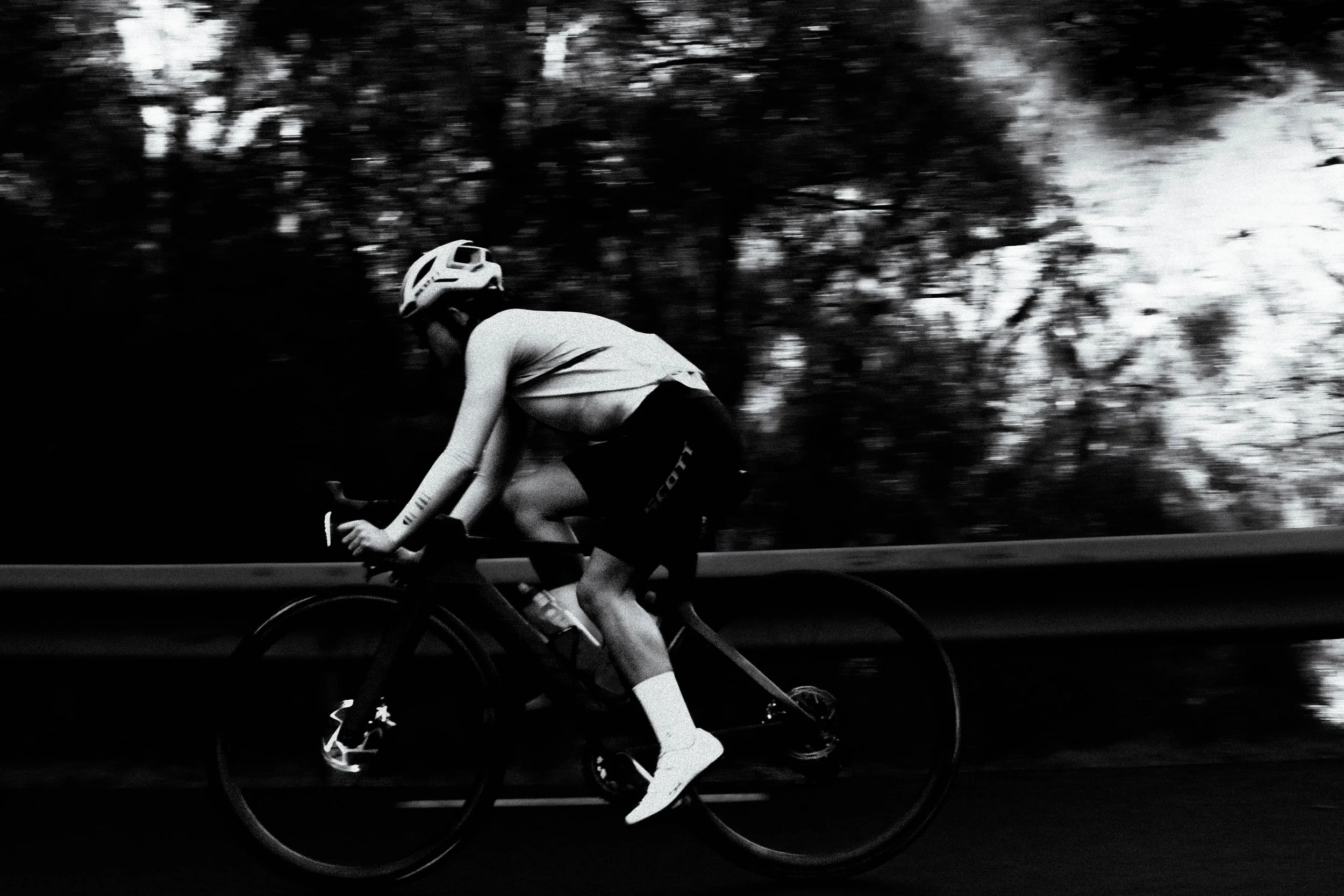 GIF ana godoy-08.jpg