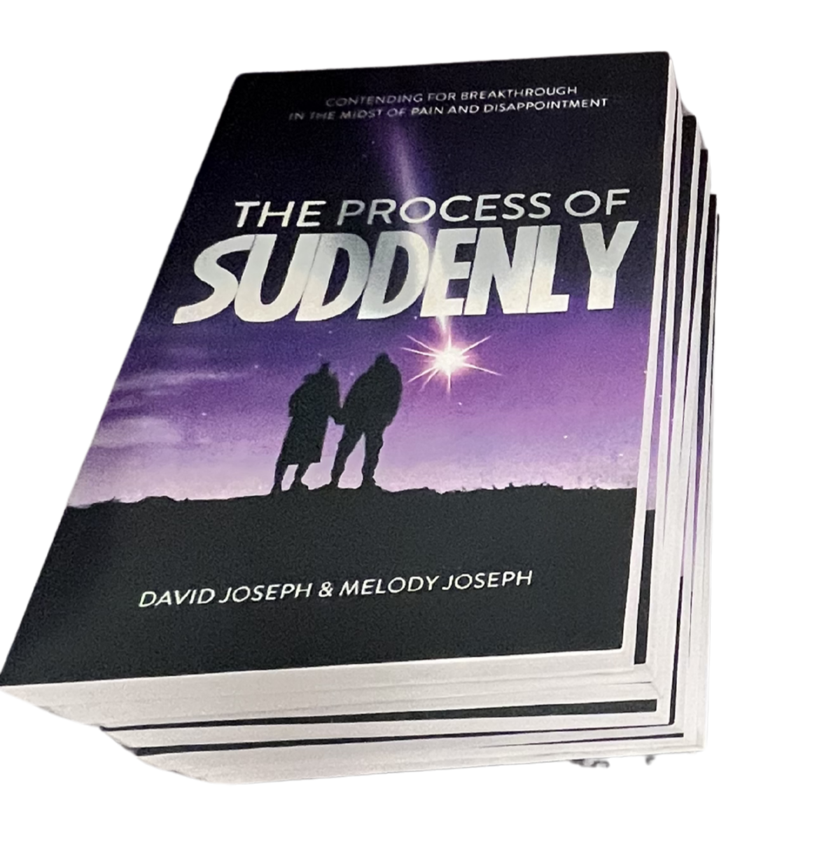 The Process of Suddenly - Book