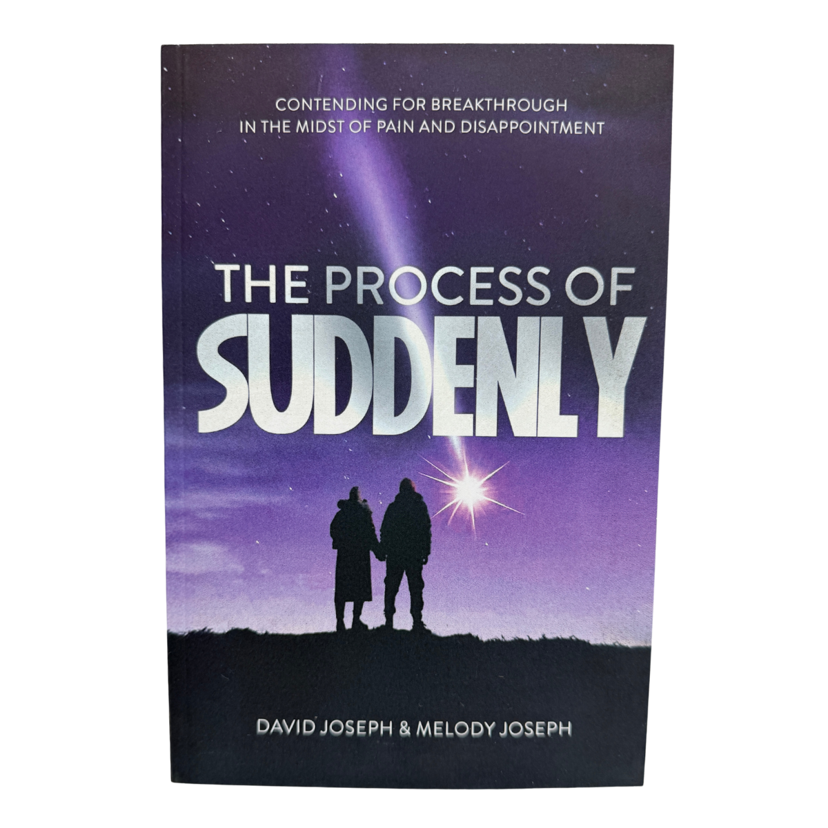 The Process of Suddenly - Book