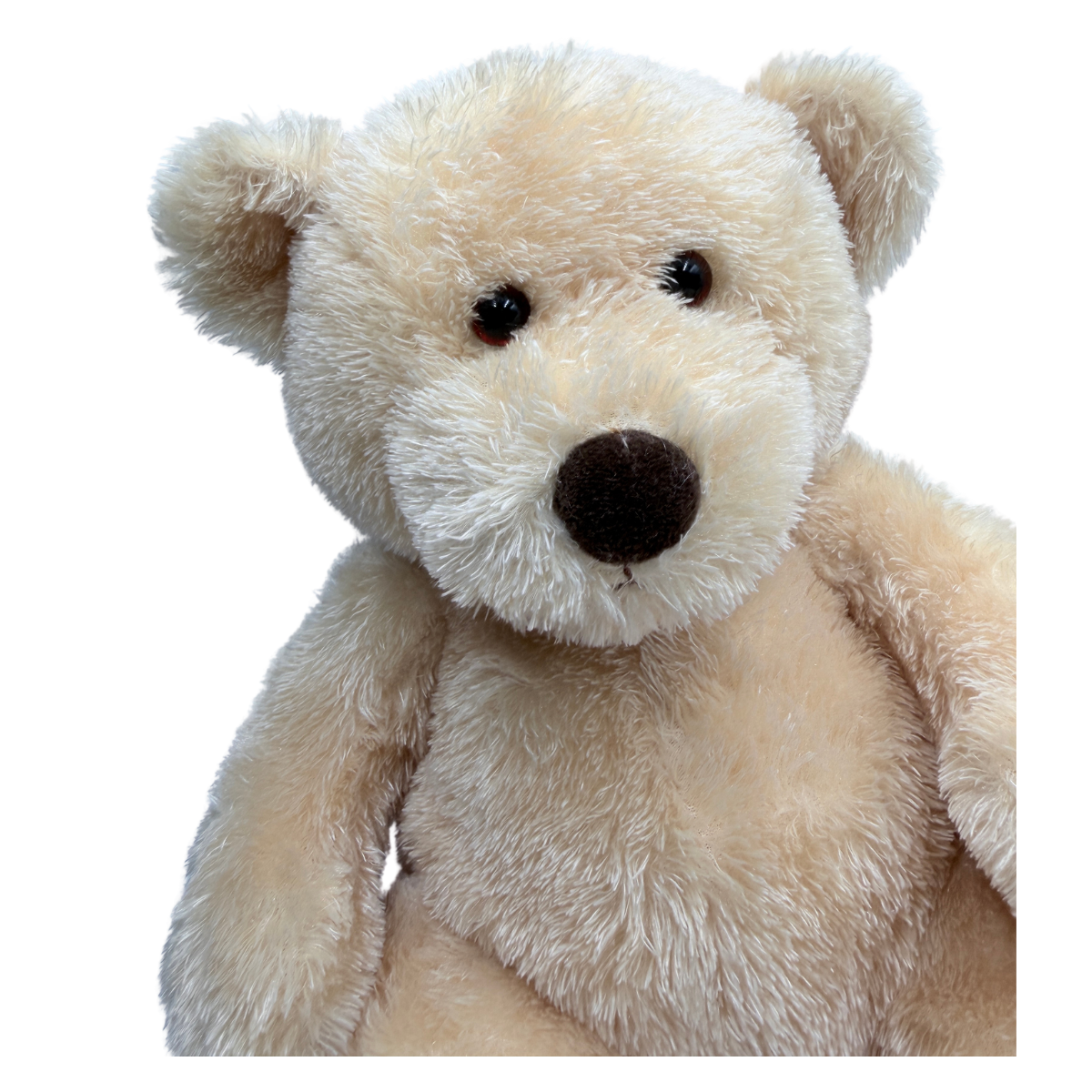 MGF Tan Bear.png