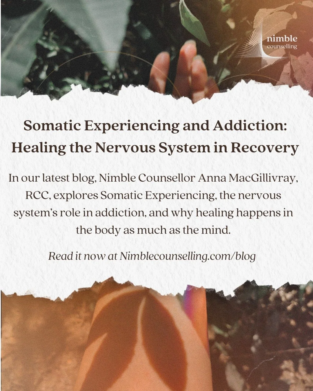 New on the Blog: Somatic Experiencing &amp; Addiction

Addiction is so often framed as a matter of willpower &mdash; but for many people, it begins in the body, not the mind.
In our latest post, Nimble Counsellor Anna MacGillivray, RCC, explores how 