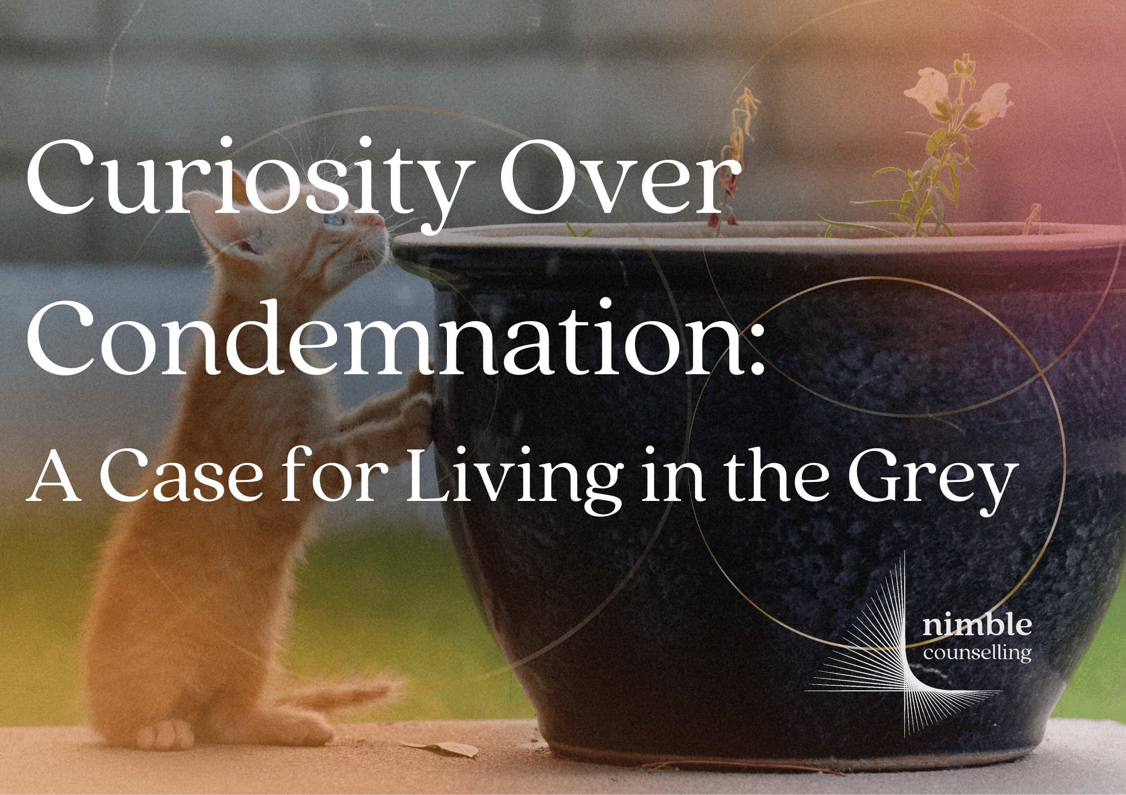 Curiosity over condemnation