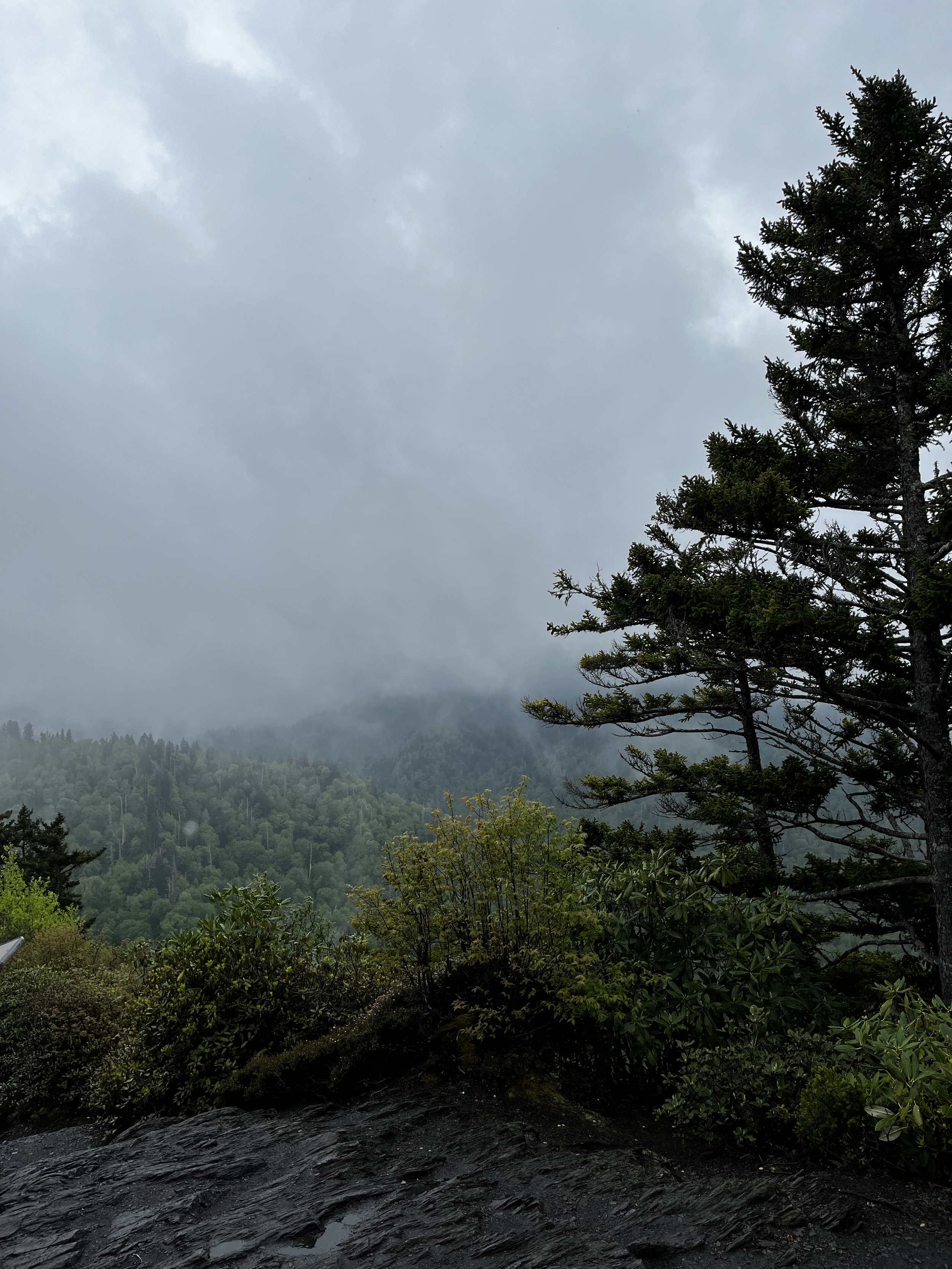 IMG_4393.jpeg
