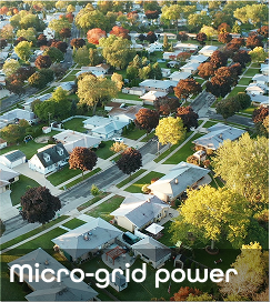 micro-grid image.png