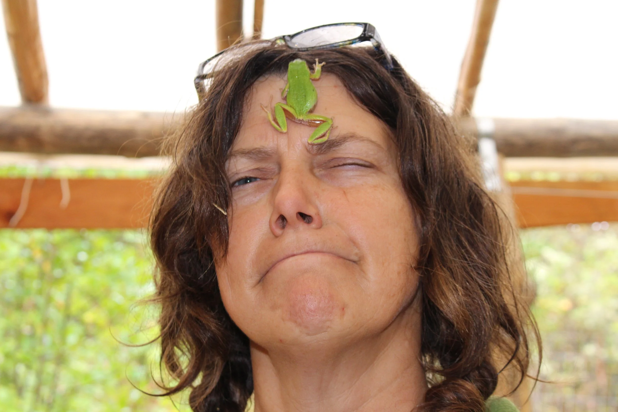 Chapter 52 - The Snail Shell House - Part 5 - Critters - from my book Changes