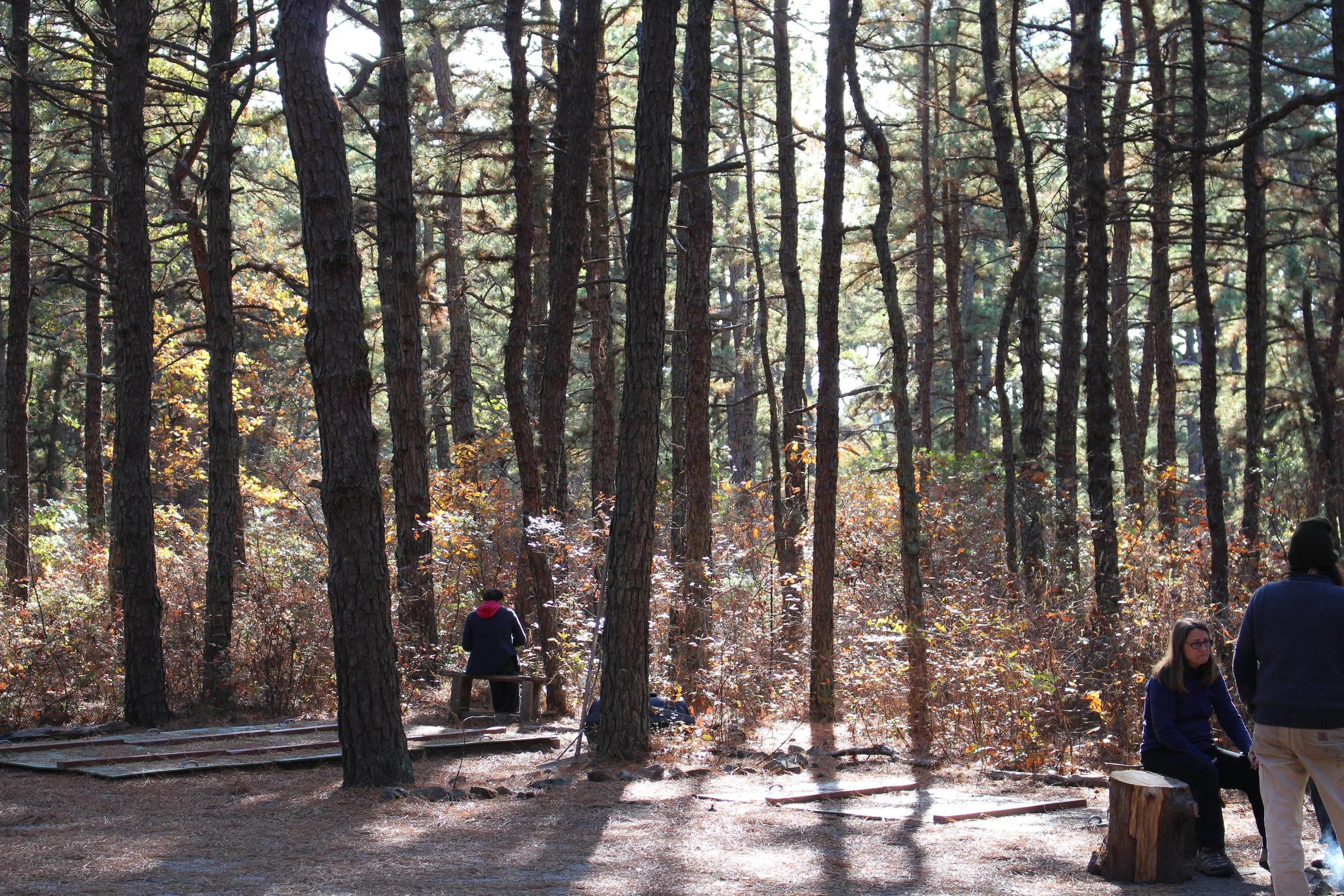 Chapter 56 - Scout Class - part 3 — from my book Changes