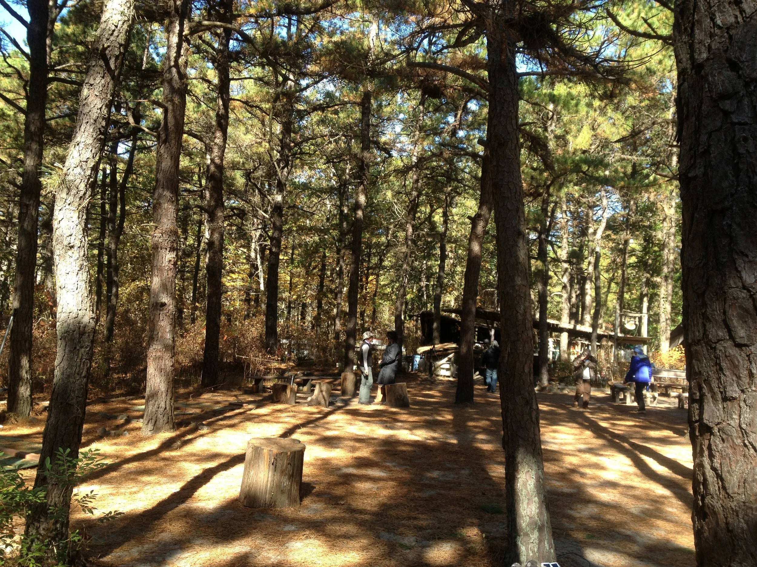 Chapter 60  Scout Class - part 7 - Invisibility - from my book Changes