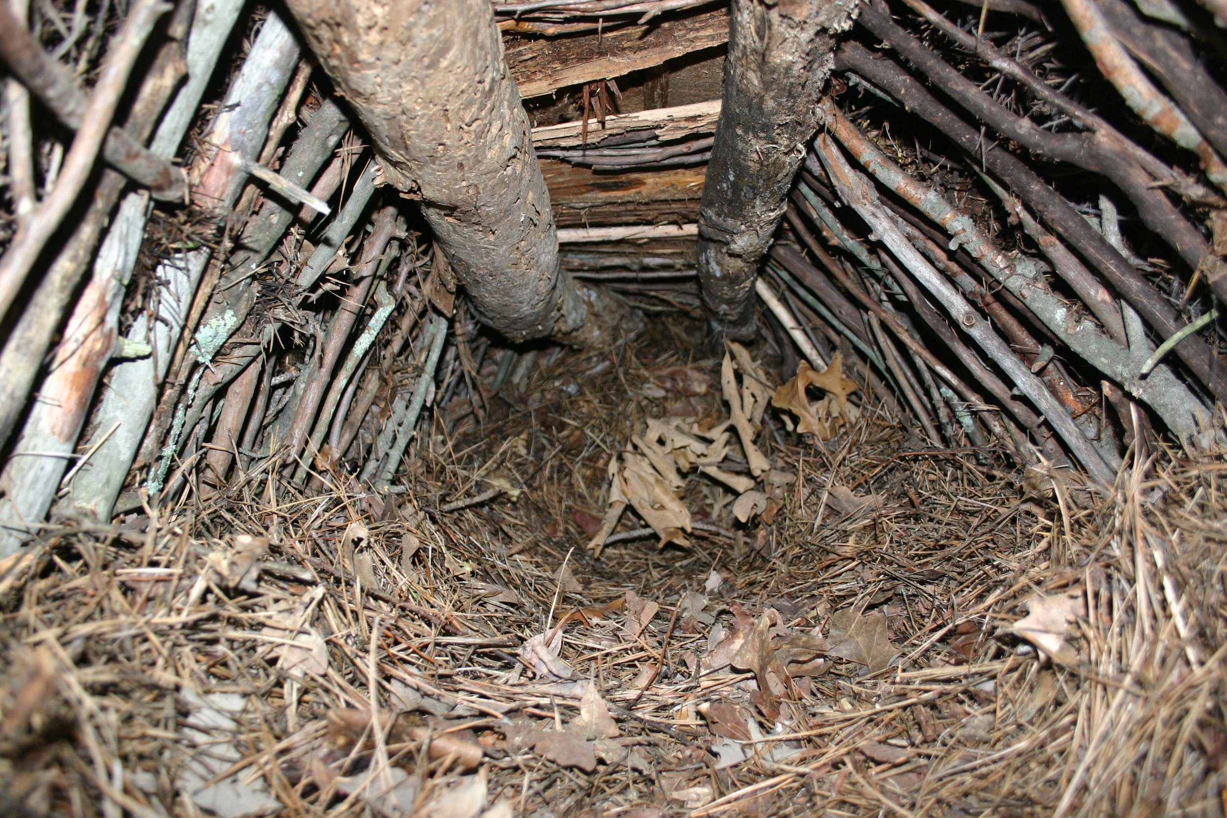 Chapter 62   Ancient Scout - from my book Changes