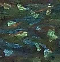 IMG_1453.jpeg
