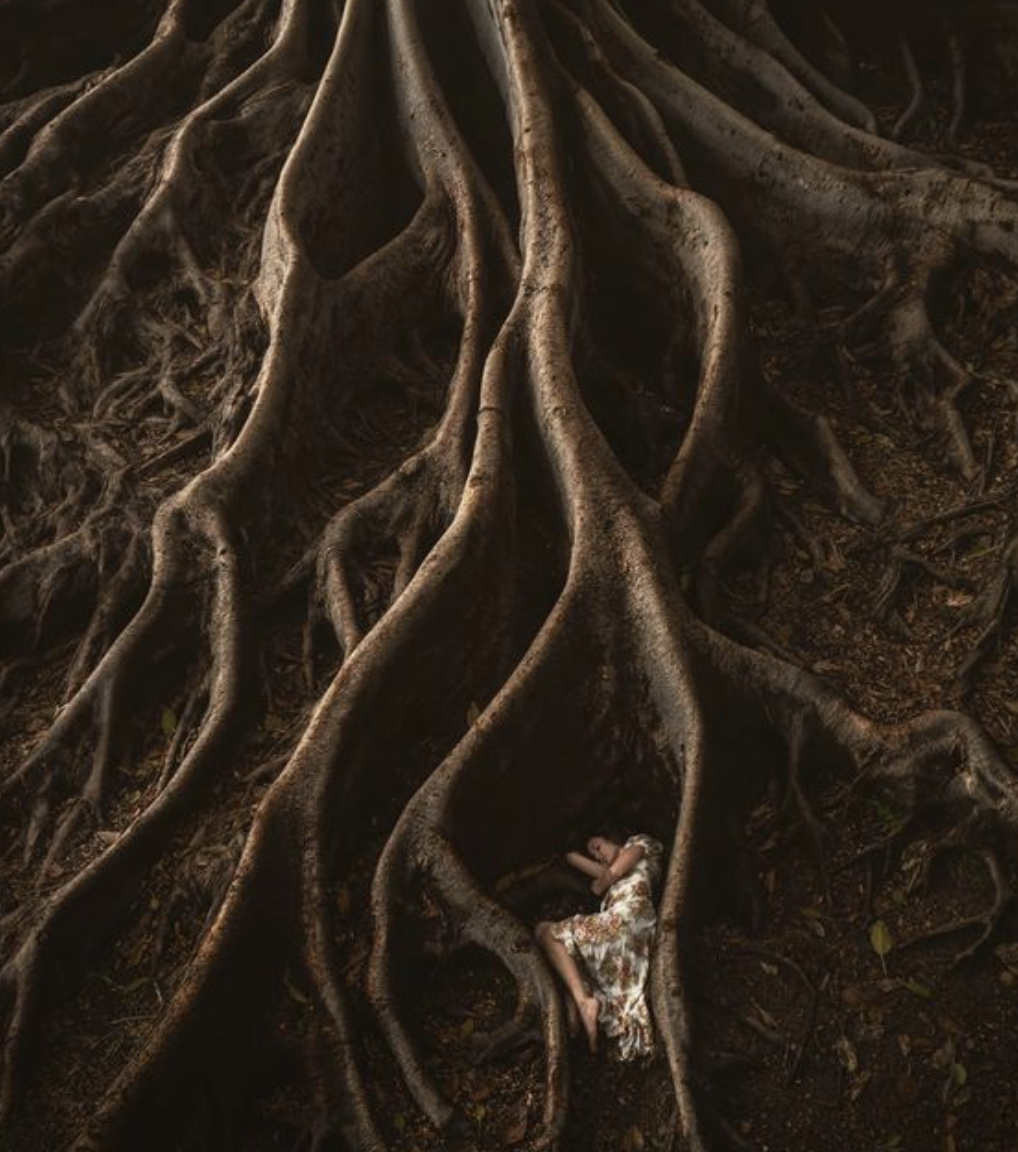 Rooted &amp; Rising