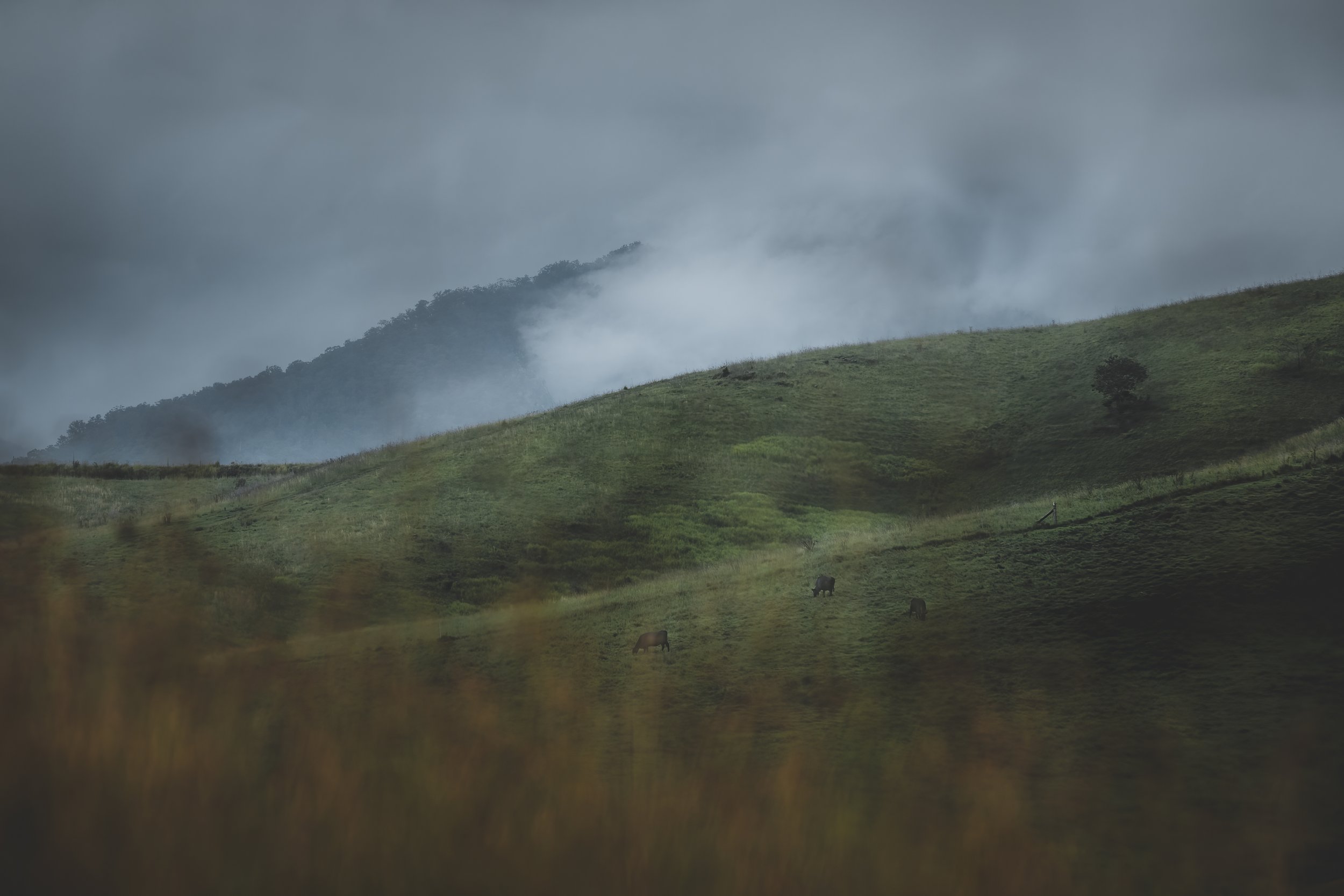 The view of clouds from the Cabin rolling in