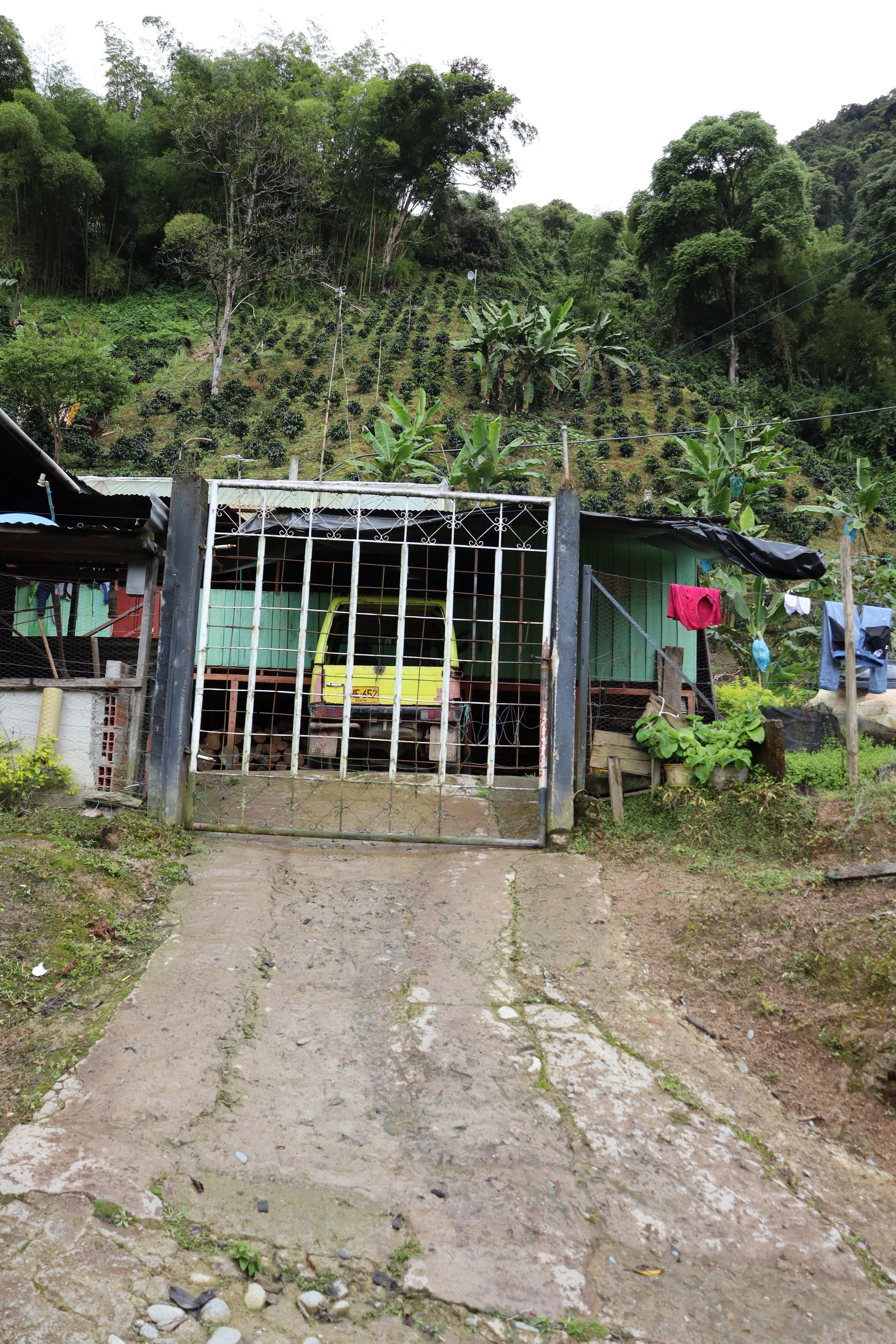 Luzmila Gonzales farm.JPG
