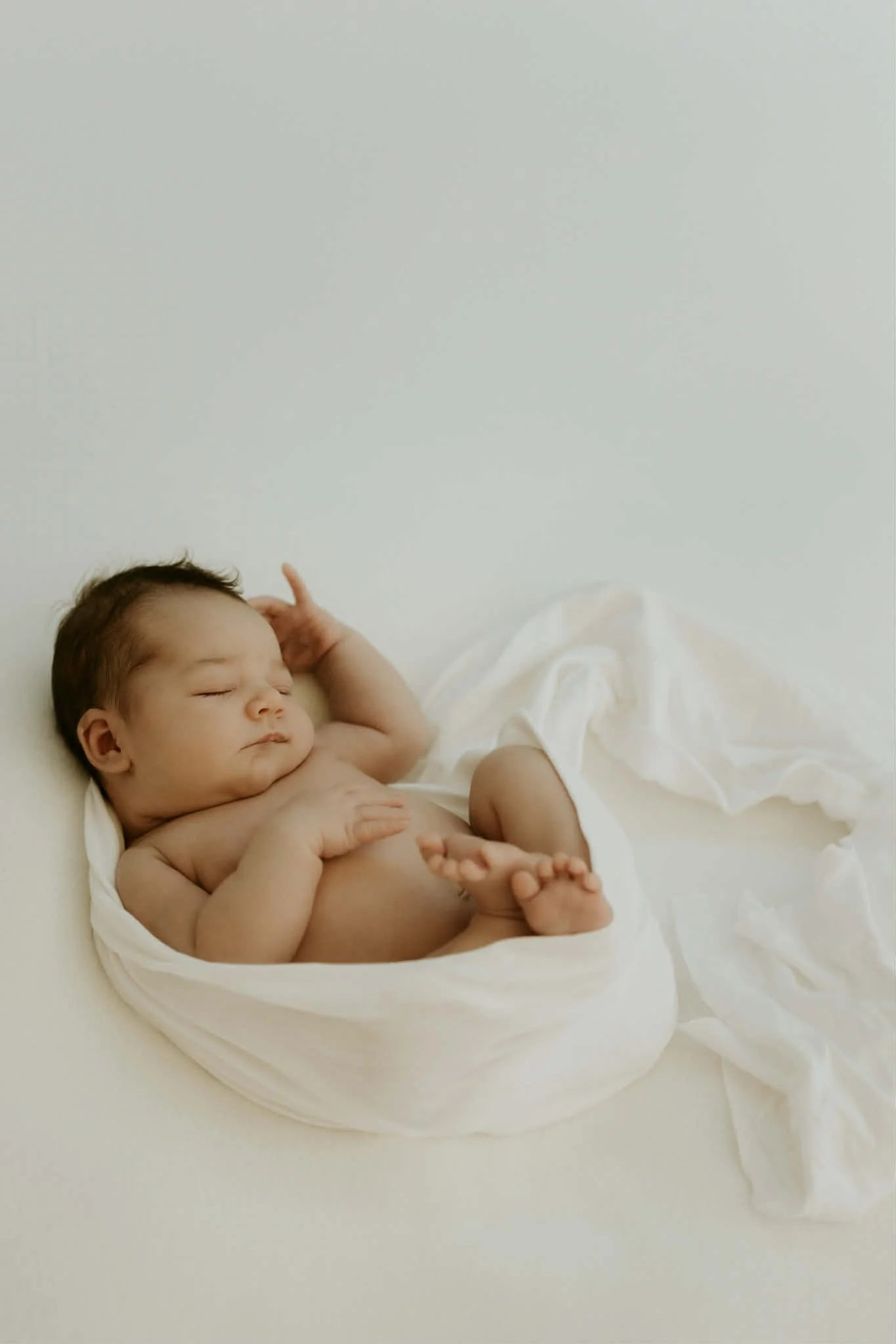 newborn photography auckland