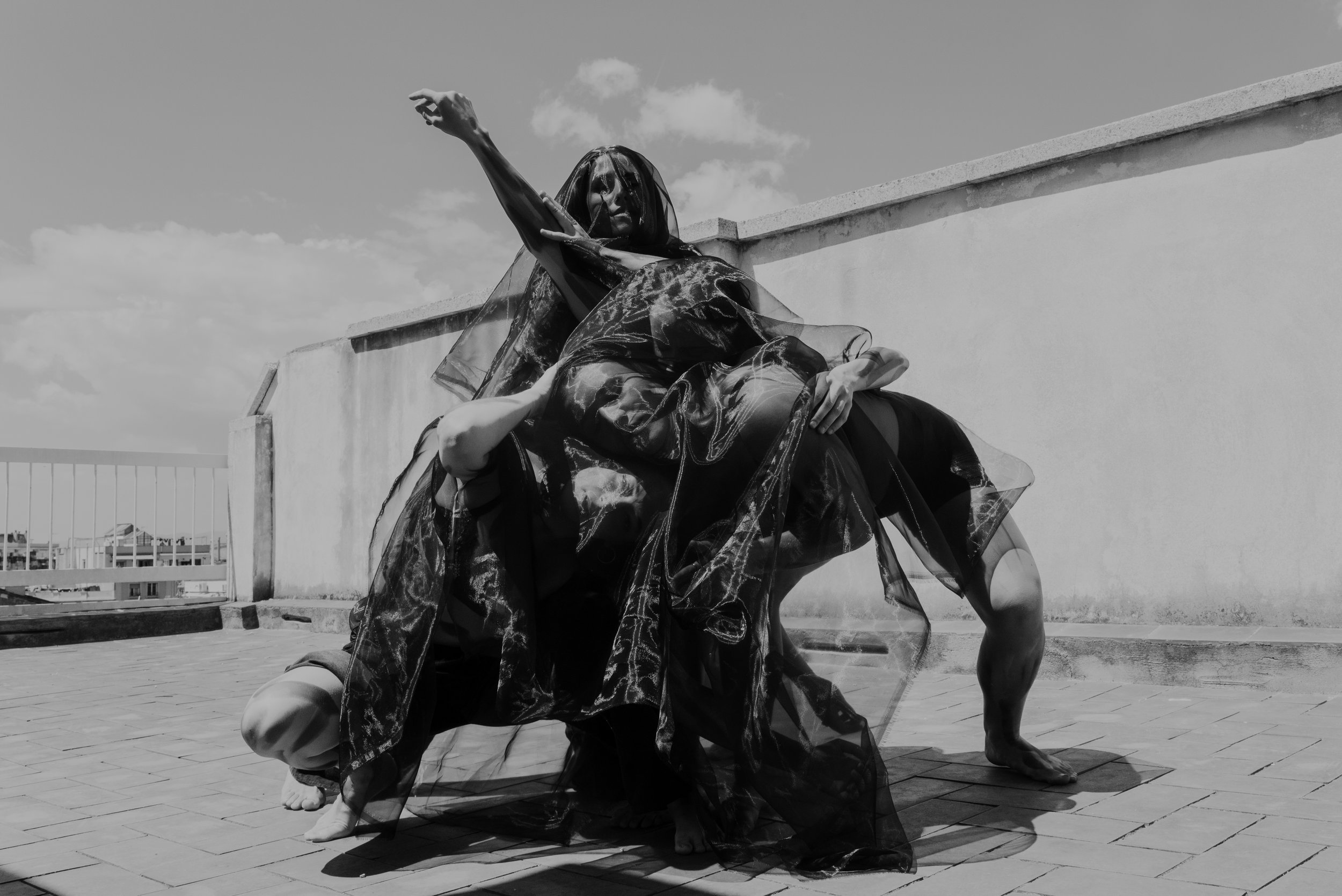 DSC_8716 copia.jpg