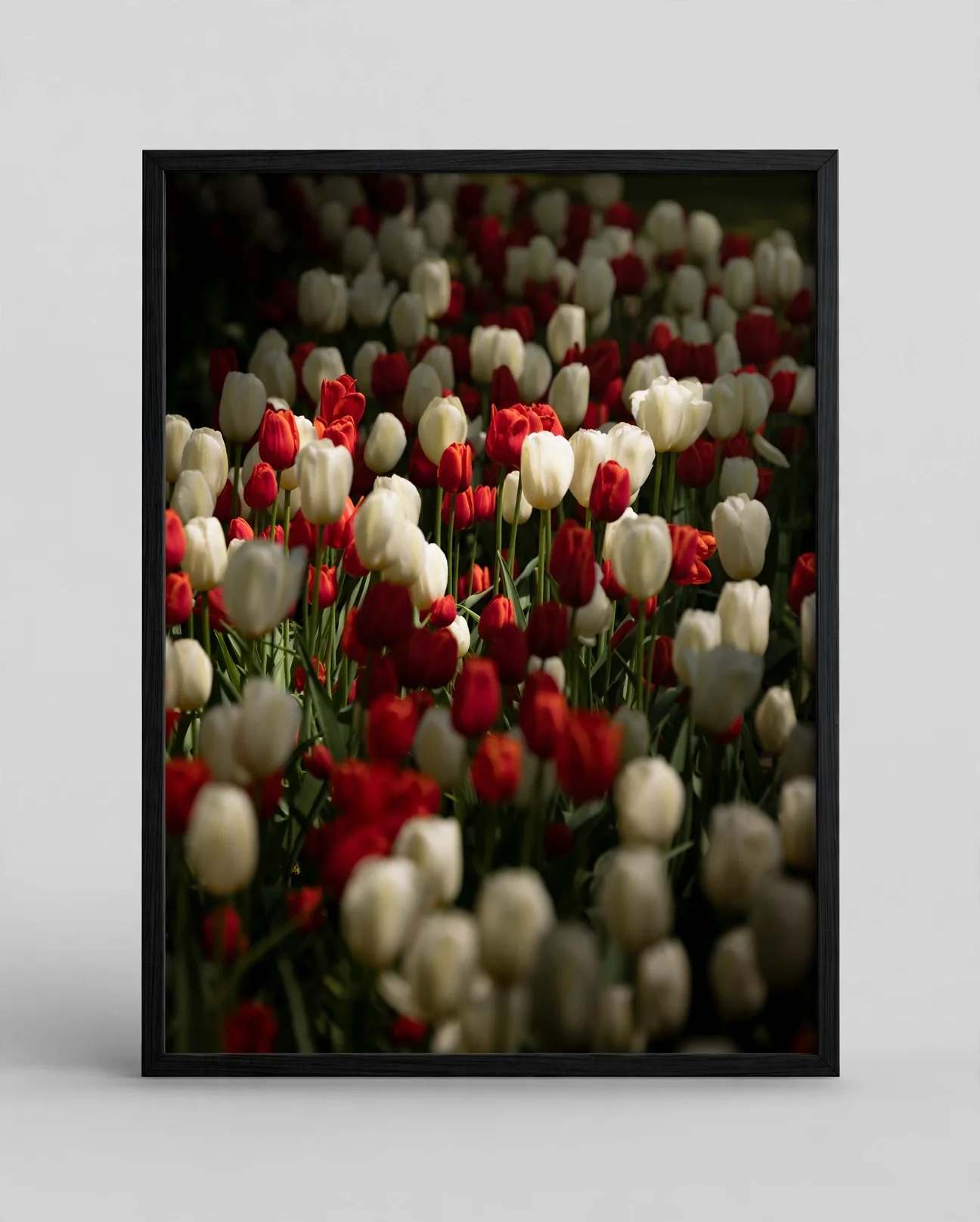 media-generation-holland-framed-paper-print-0-754cc9d9-4866-4858-8a65-bf7bdf5f4b3b.webp