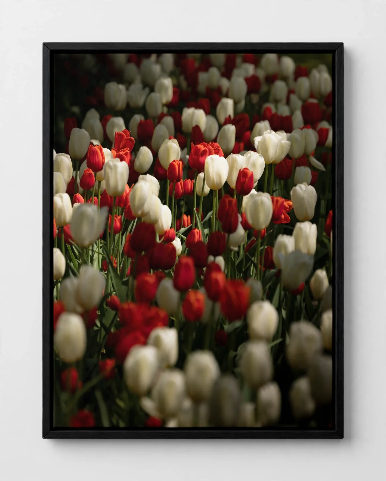 media-generation-holland-framed-canvas-0-6f9d7989-266f-438a-857e-12cb505fb885.webp