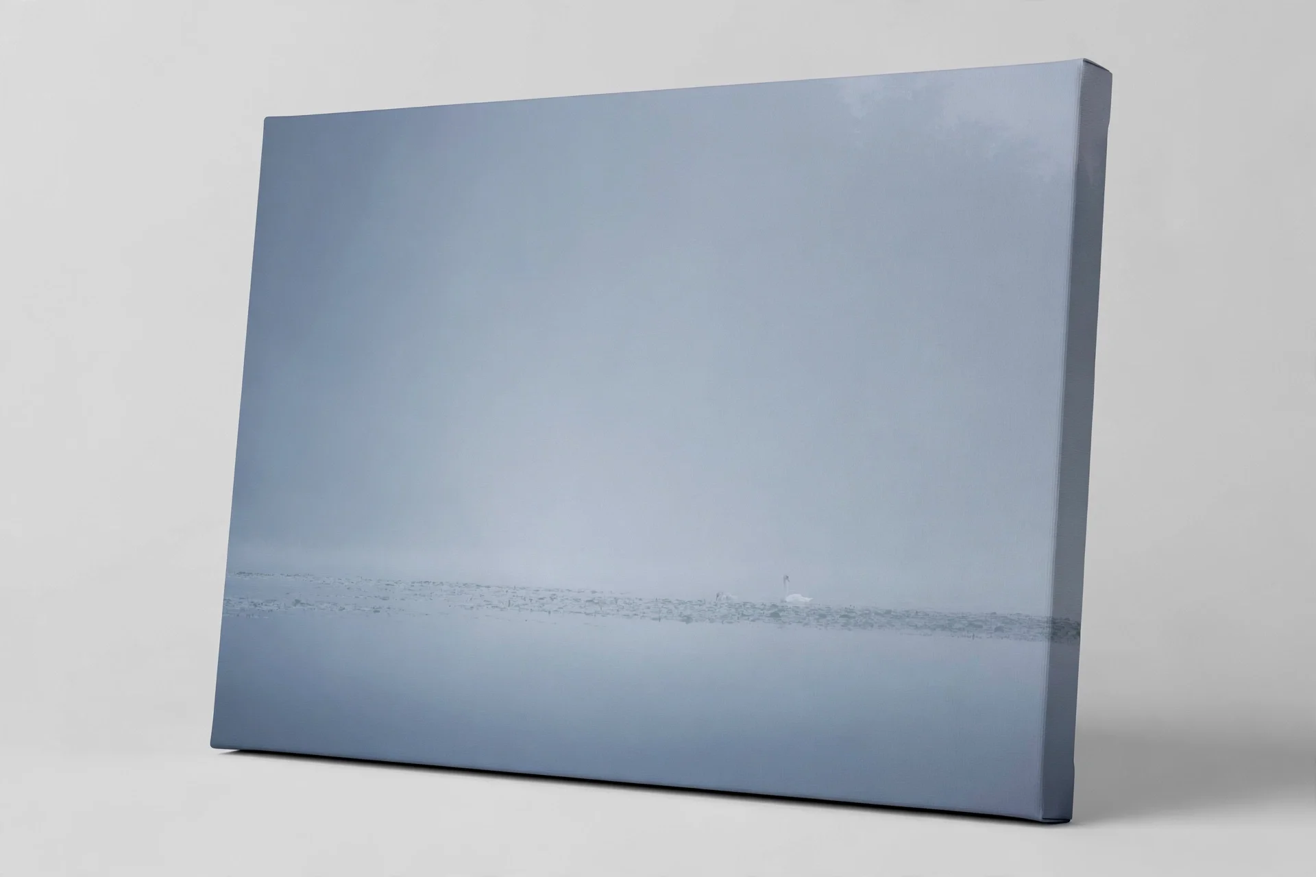 media-generation-sundaymorning-canvas-wrap-stan-0-3733f21e-3b1f-4346-98c2-369b1562daf2.webp