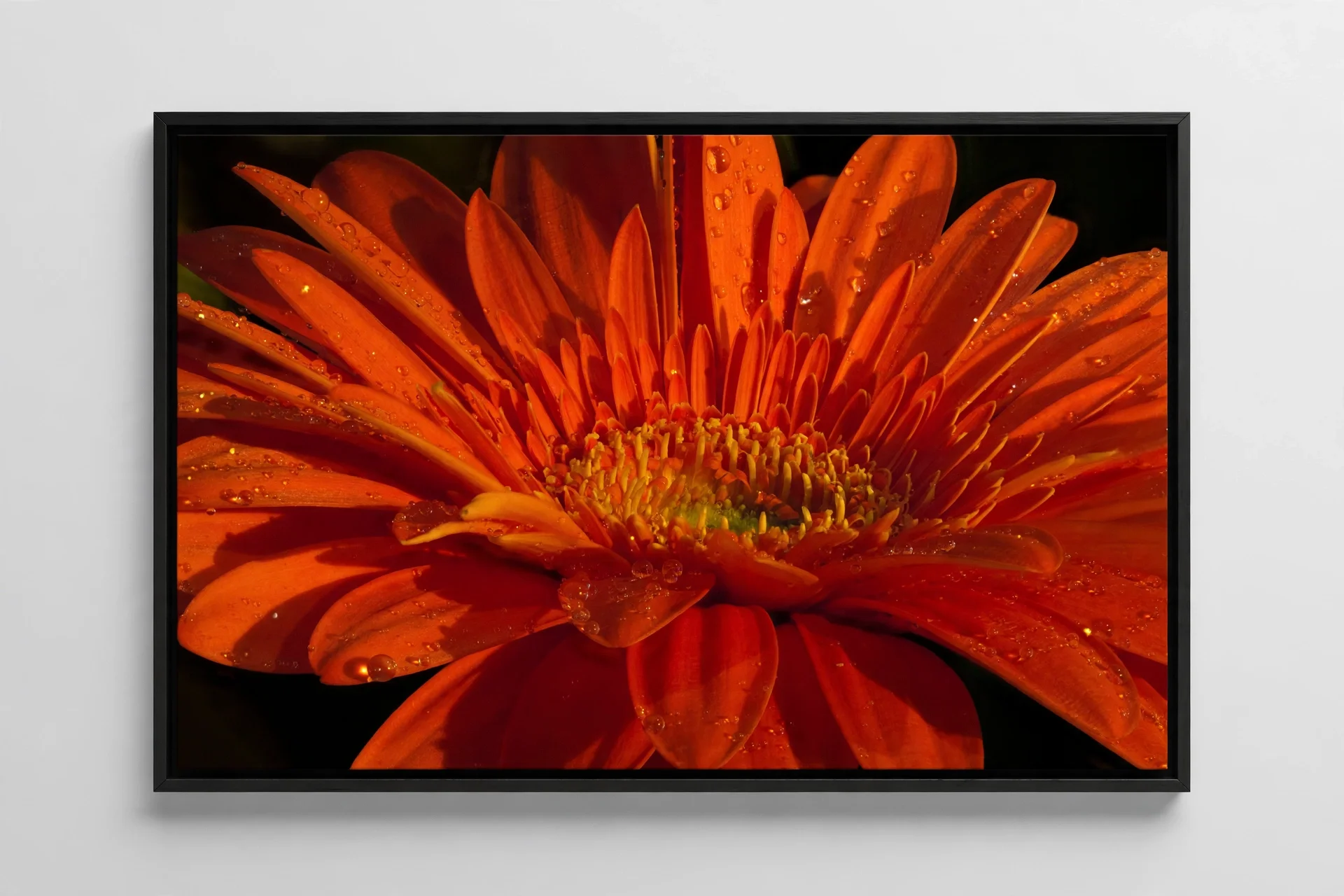 media-generation-orange-framed-canvas-landscape-0-a3642e9b-d0db-45a1-b26a-6d197b130800.webp