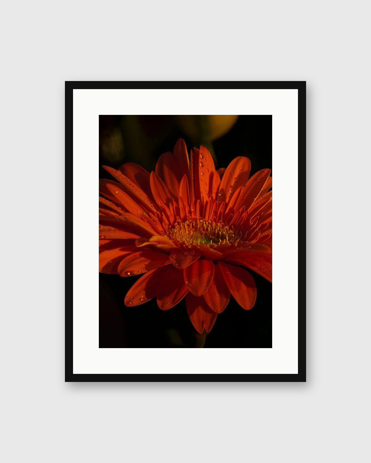 orange-matted-framed-paper-thumbnail.jpg