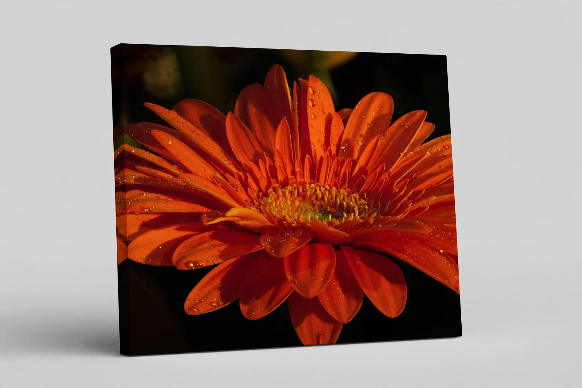 media-generation-orange-canvas-wrap-standing-0-f1b38c36-fd6f-48b3-99a7-09564540c763.webp