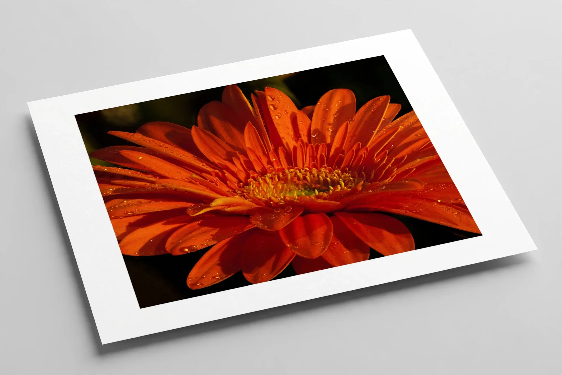 media-generation-orange-paper-print-landscape-0-8ae94722-c976-4369-a2db-3c5cc2a0d39f.webp