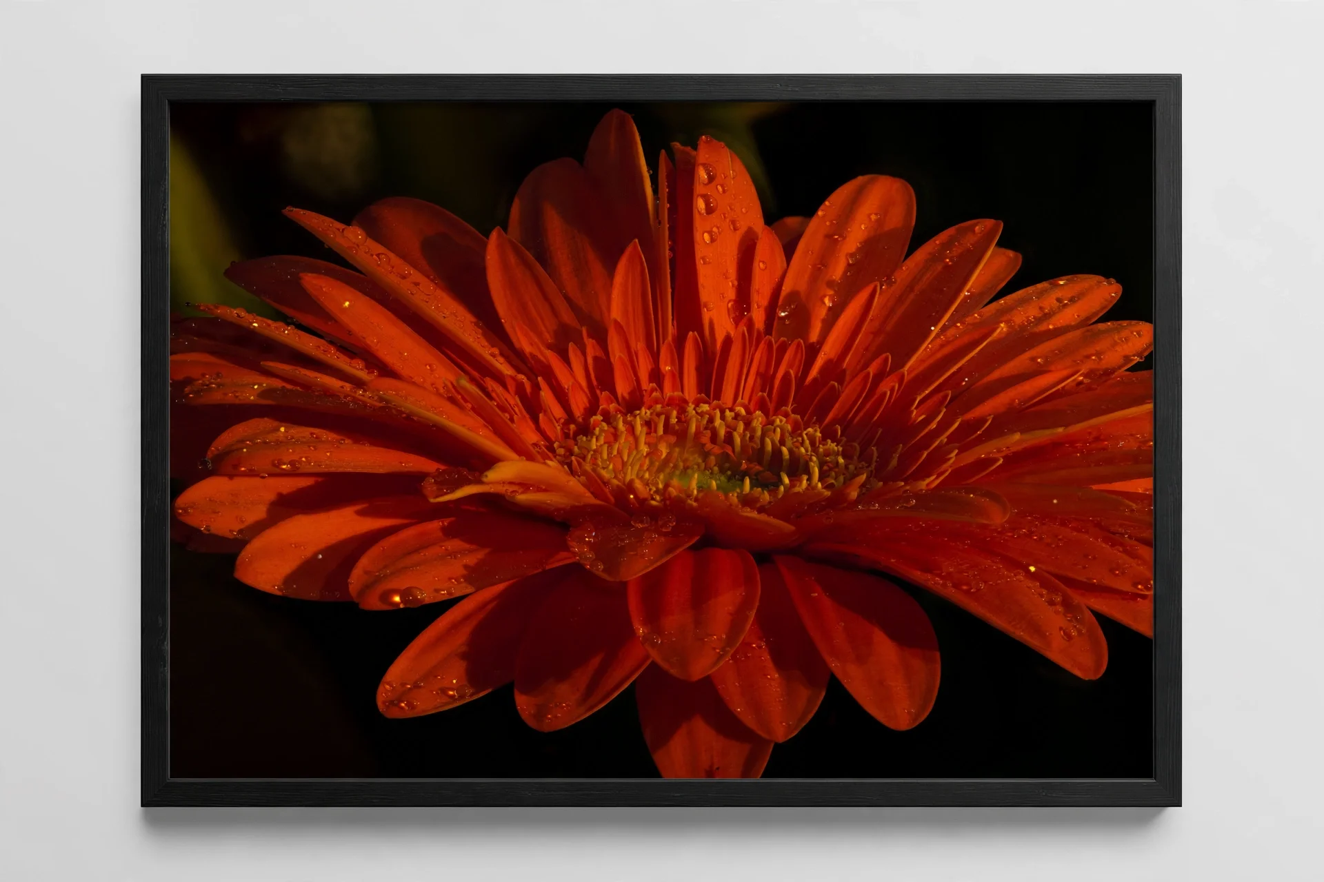 media-generation-orange-framed-paper-print-land-0-92ead712-c30b-460a-bb05-8413920474e7.webp