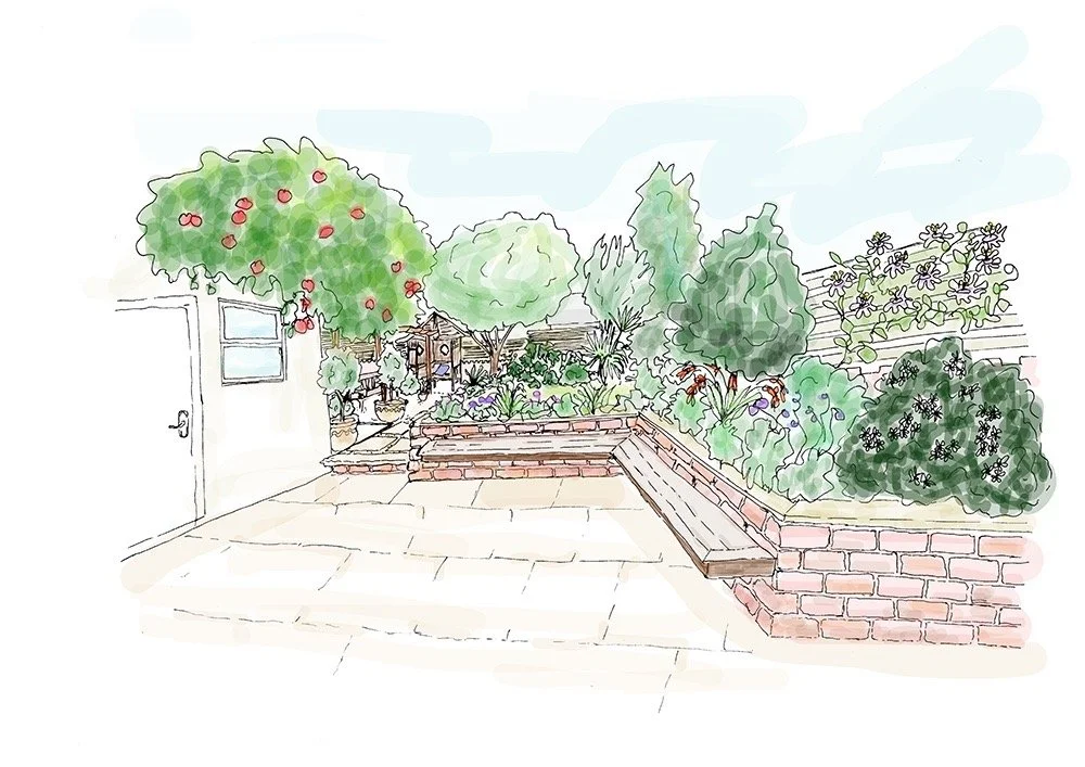 Illustration of a garden design with trees and bushes