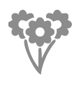 Flower icon