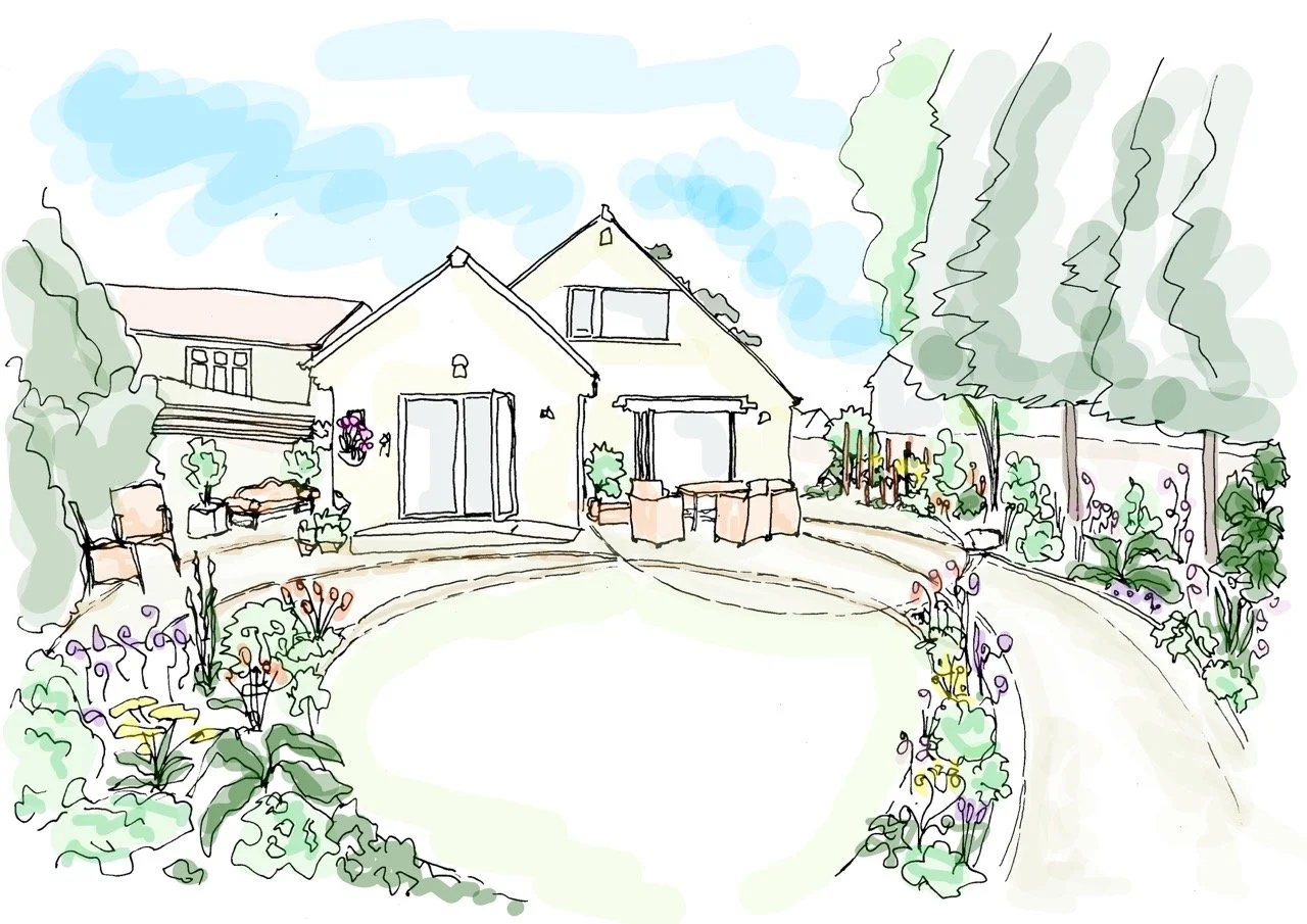 Concept Illustration 2 Large.jpeg