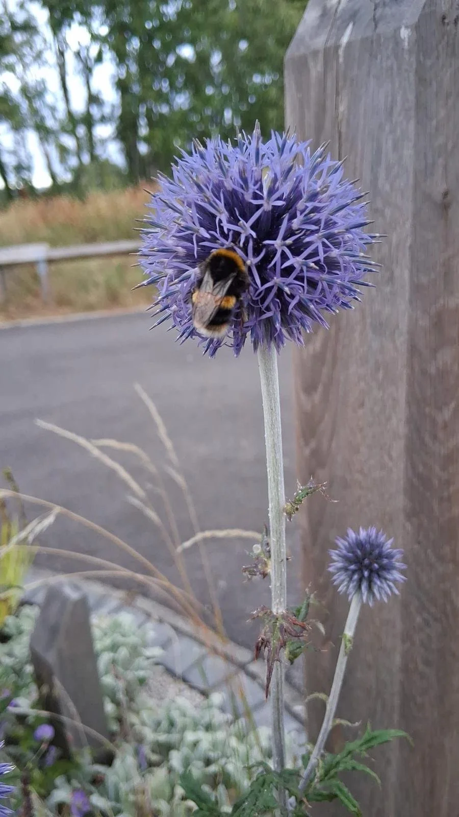 IMG-20250707 - After 2025.jpg