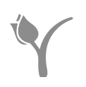 Tulip icon