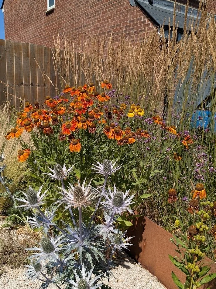 PXL_114548567 - After 2025 Large.jpeg