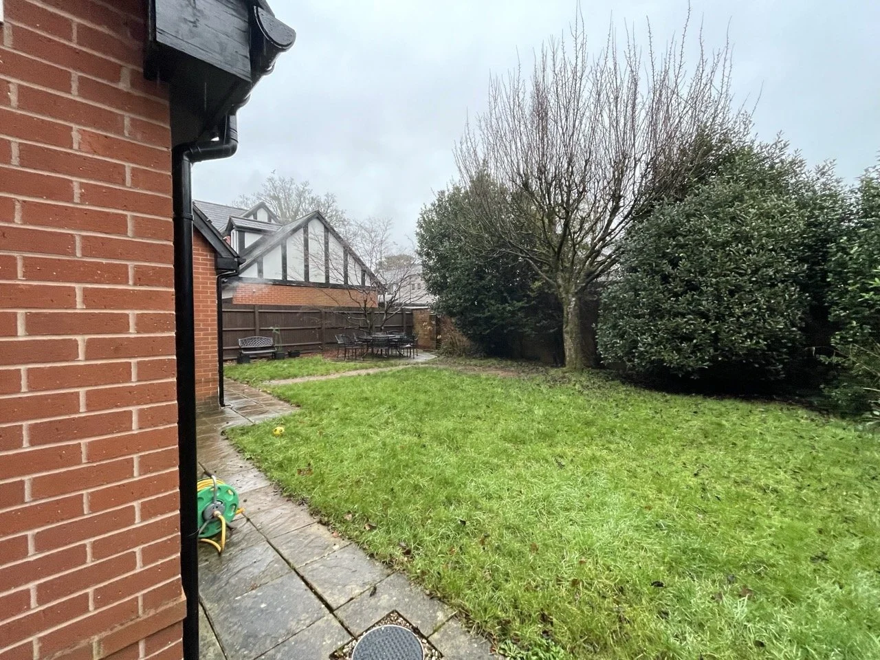 IMG_3960 - Before Large.jpeg