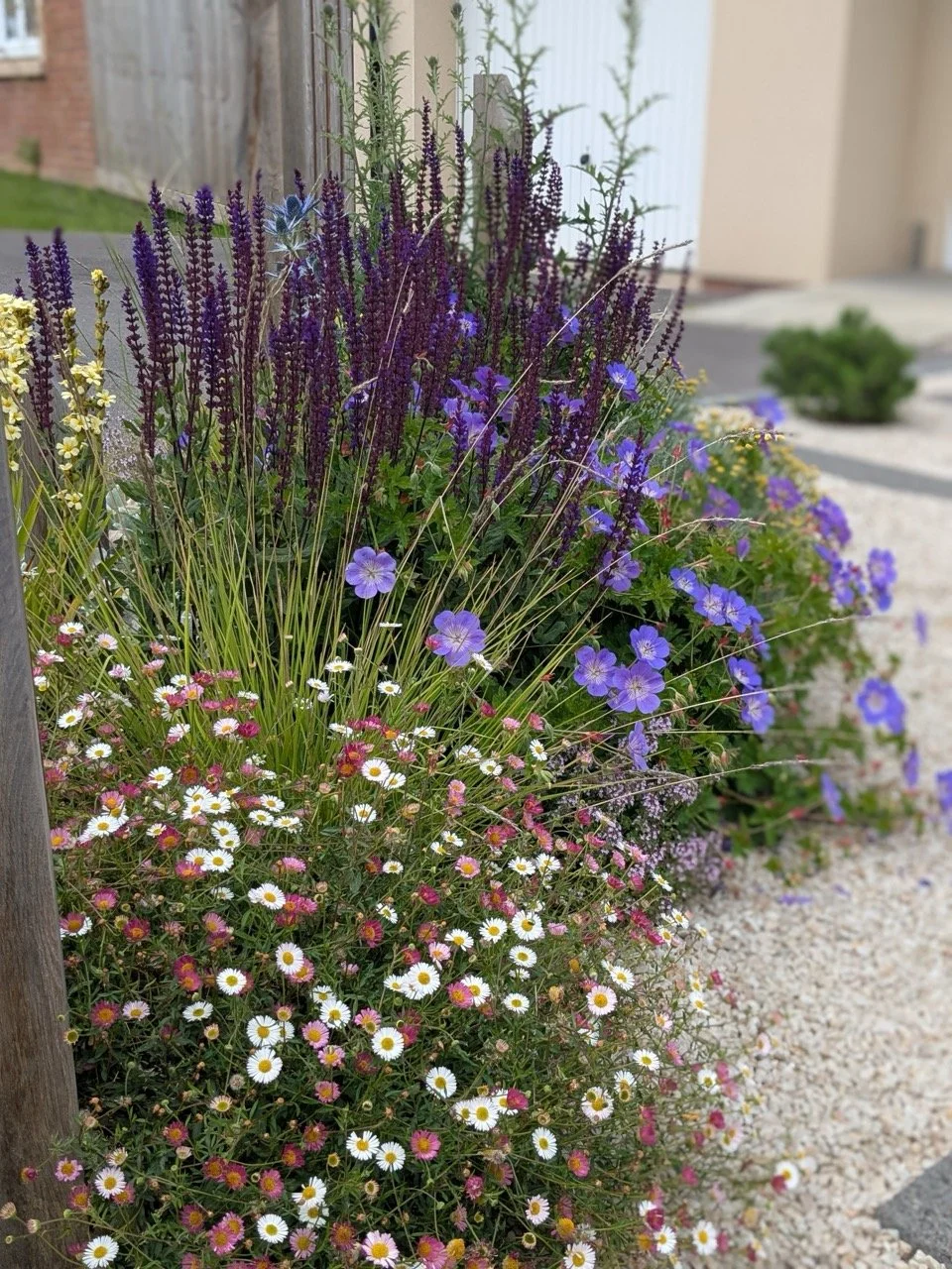 PXL_113248270 - After 2025 Large.jpeg