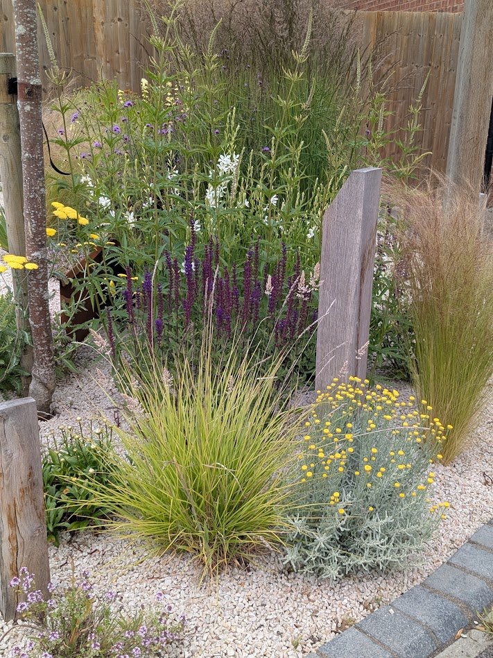 A small garden with various colorful plants, grasses, and flowers surrounded by wooden and brick borders.
