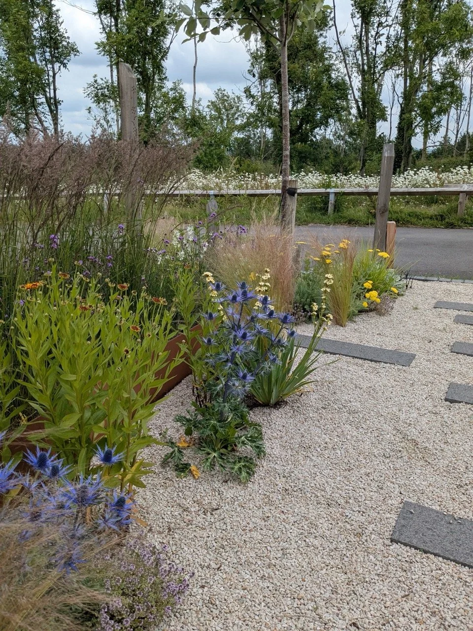 PXL_114935315 (2) - After 2025 Large.jpeg