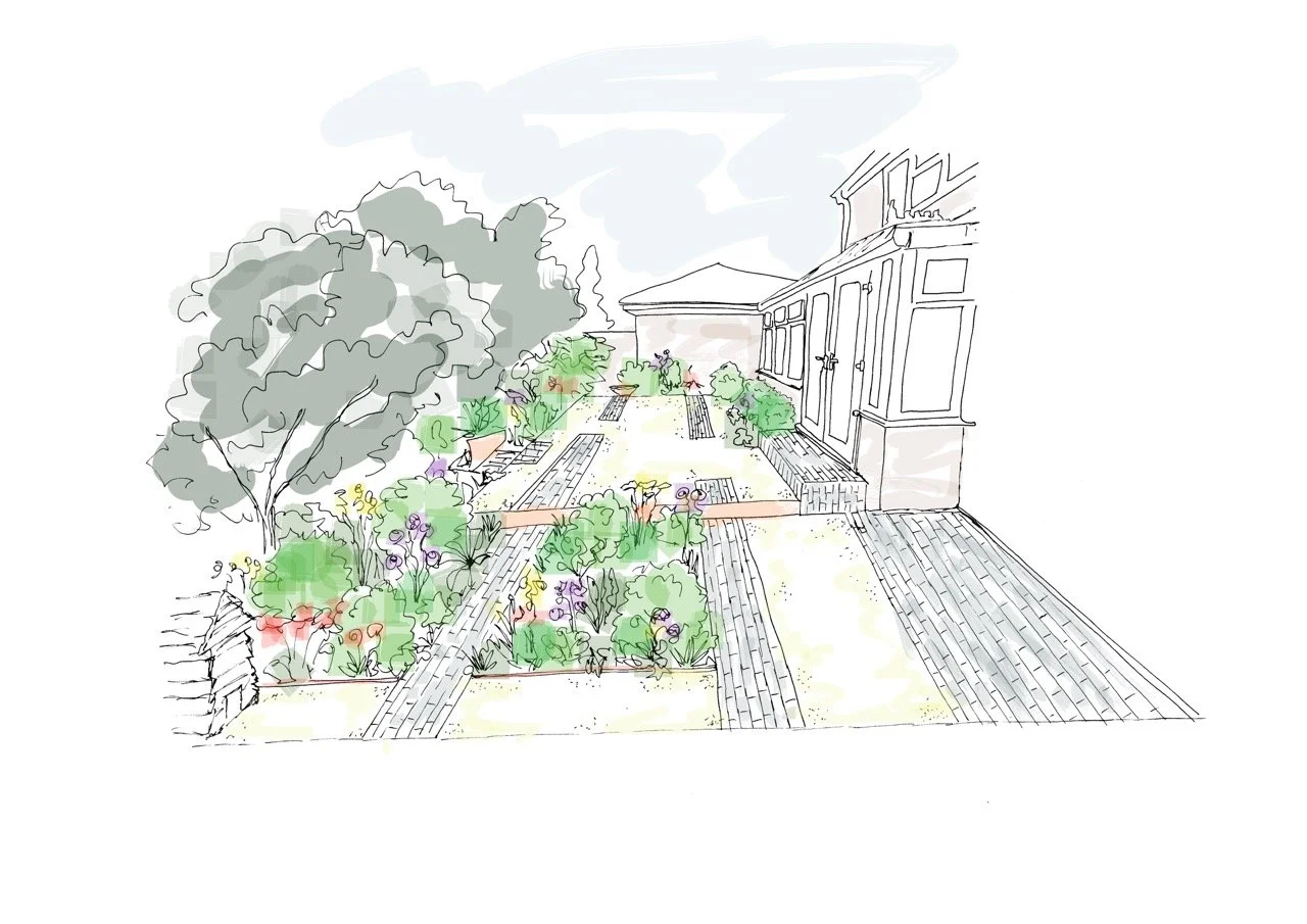 Concept Image Large.jpeg