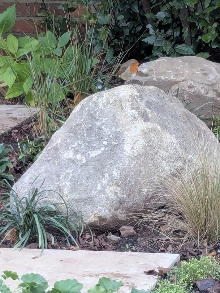 PXL_20251125_151137689 - After.jpg