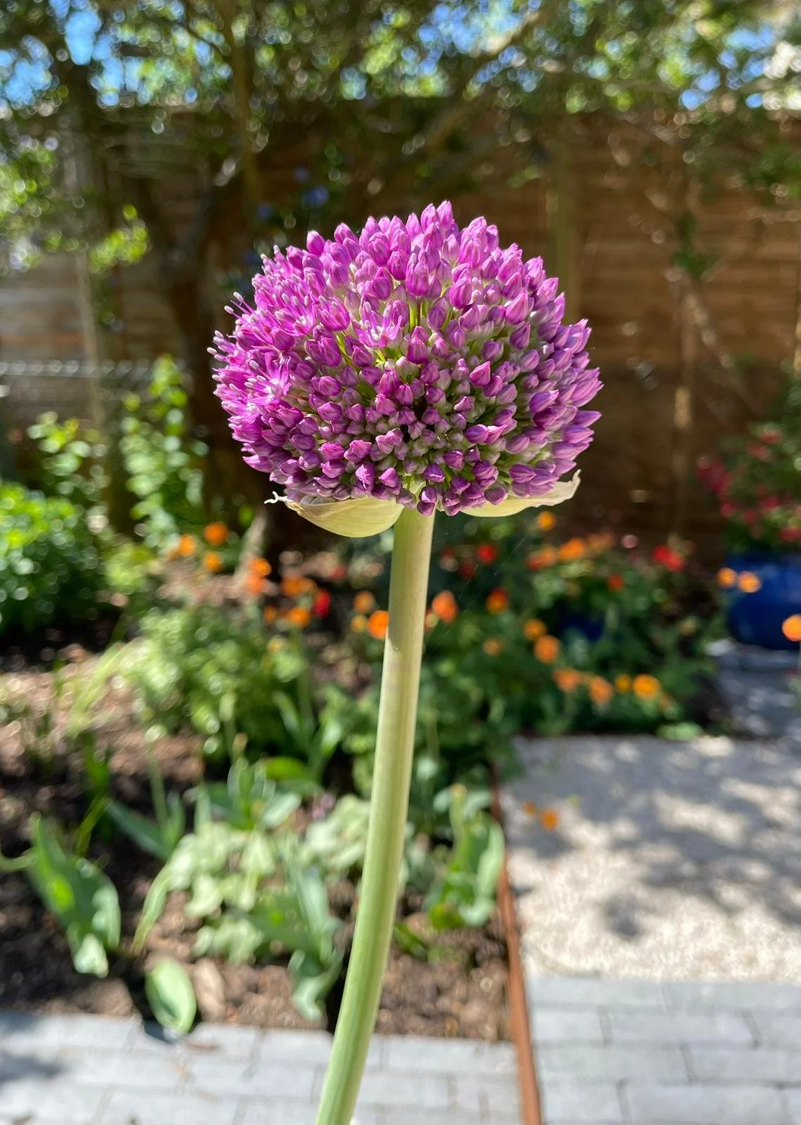 1000008754 - After 2025.jpg