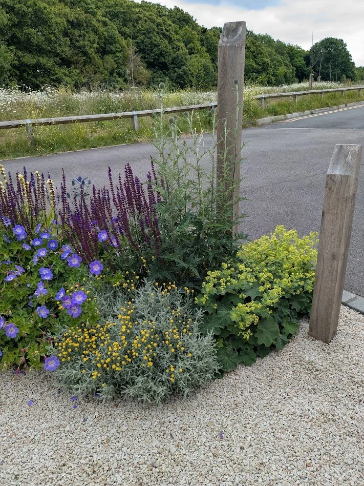 PXL_114757675 - After 2025.jpg