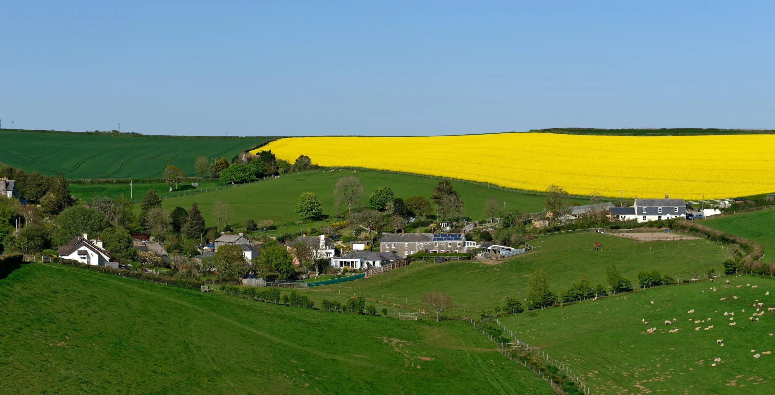 *1. Village in summer. Rape fields.DMI5982_DxO.jpg