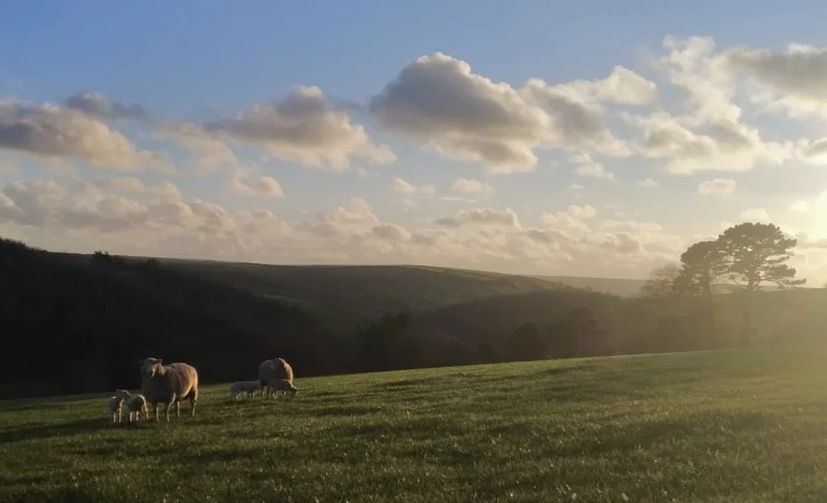 WhatsApp Image 2026-01-09 at 15.56.29.jpeg