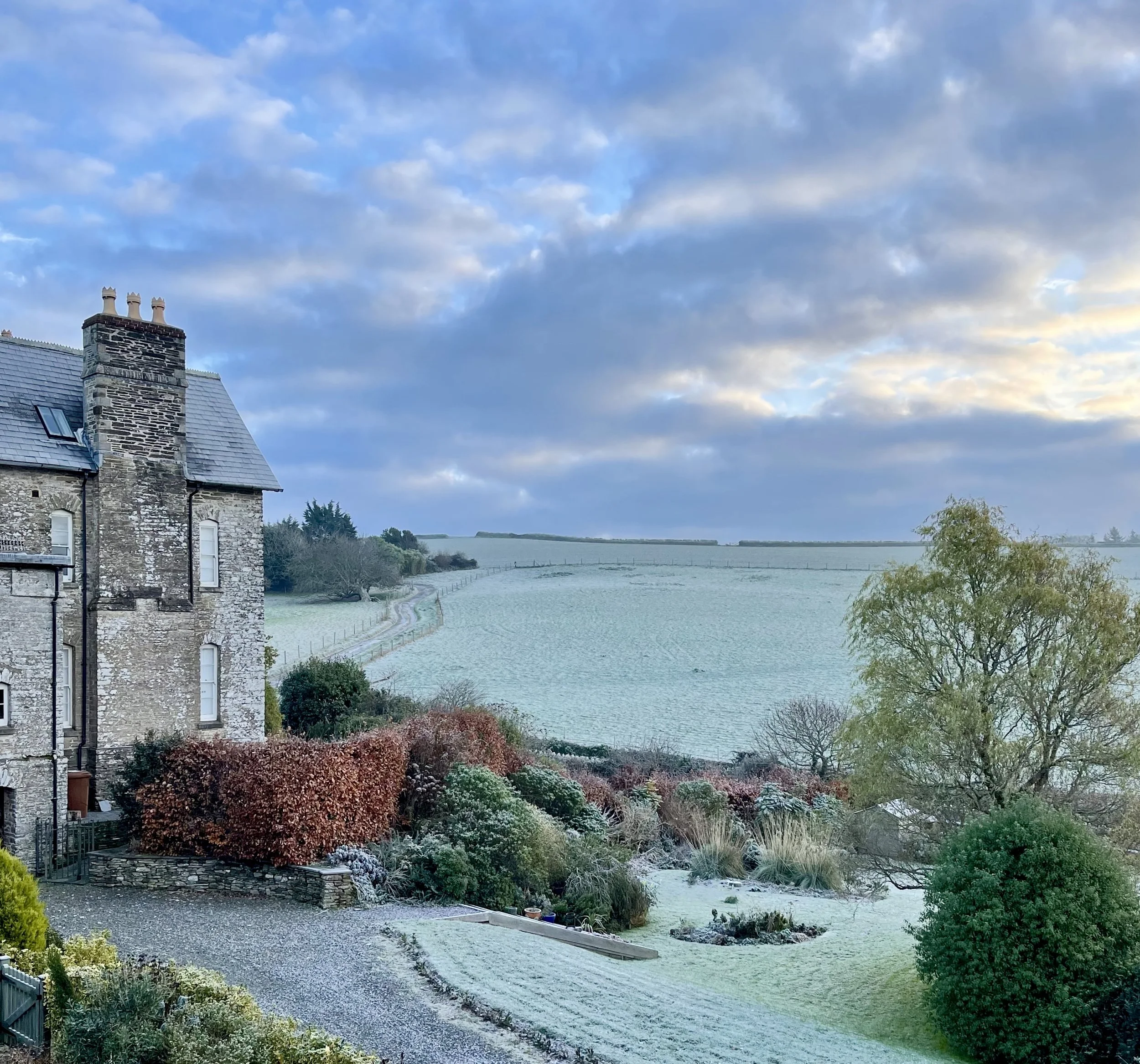 Winter. Alice Blount.12-12-2022, 09 07 09.jpg