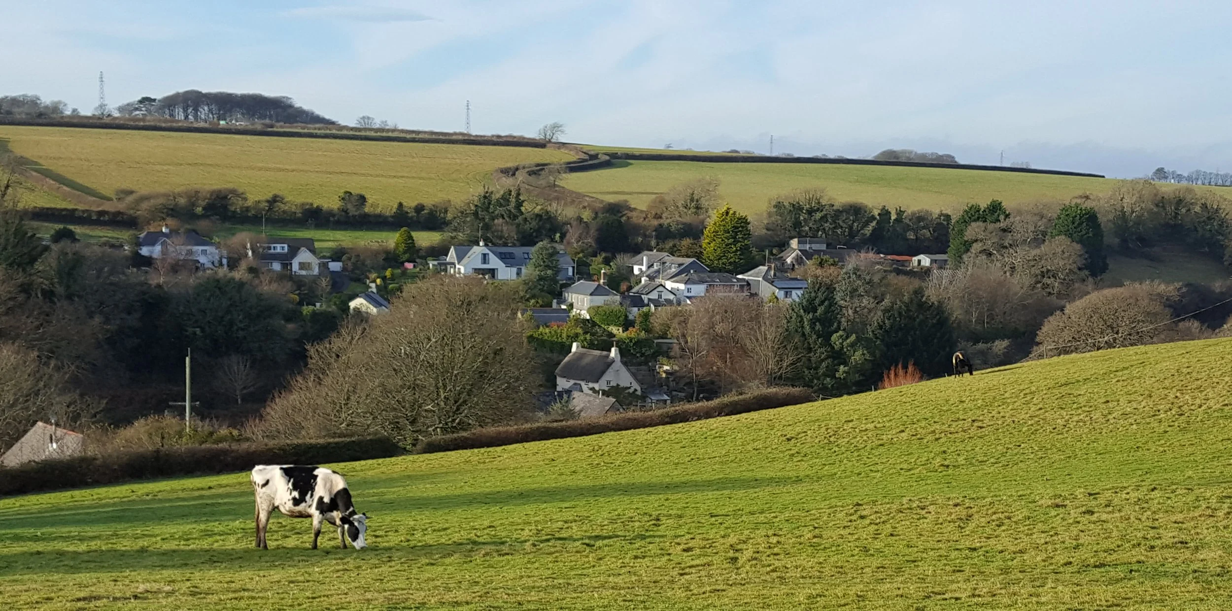 Spring.Ledstone. DJ.0161207_141242.jpg