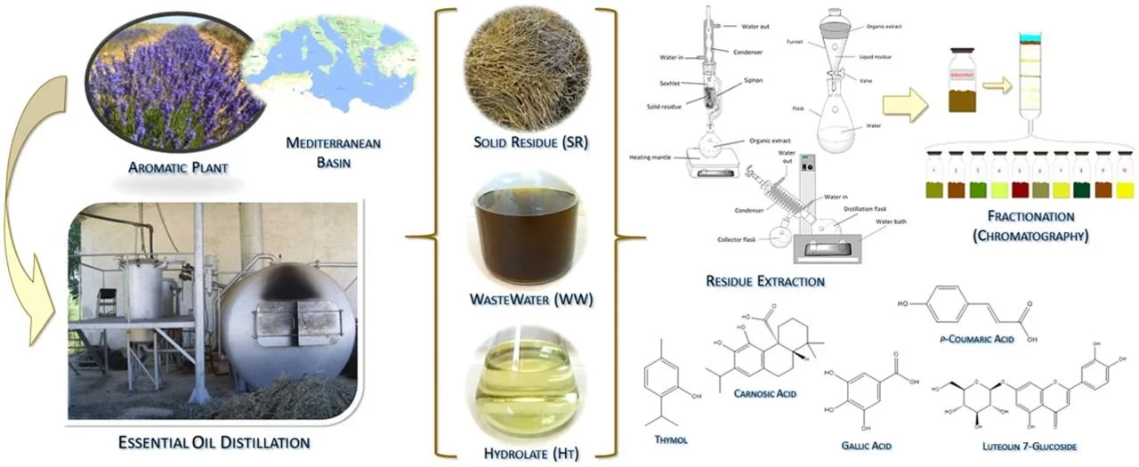 Circular Economy in Essential Oil Distilleries or Plant Extracts Facilities: Turning Waste into Value.