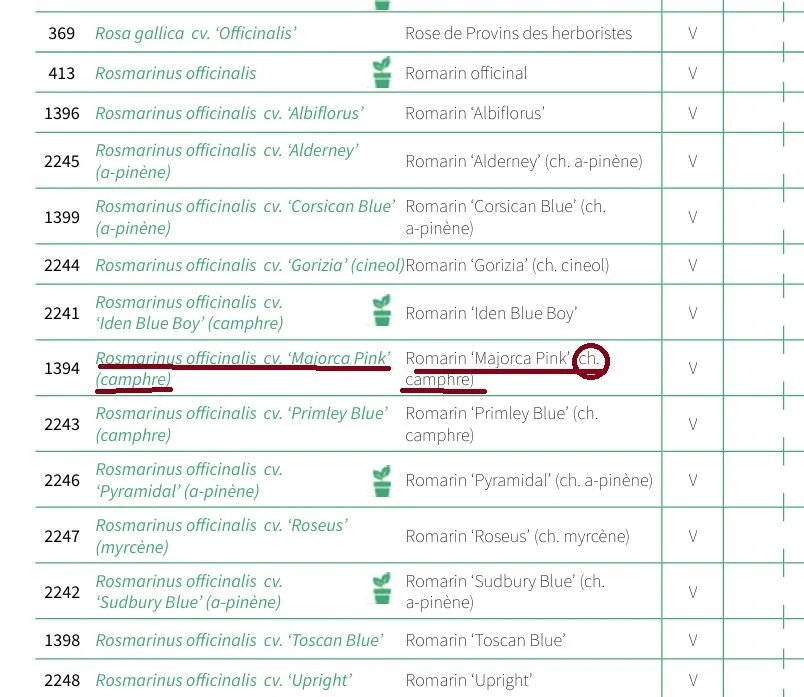 The quality of a product starts long before transformation! Seed Suppliers Selection